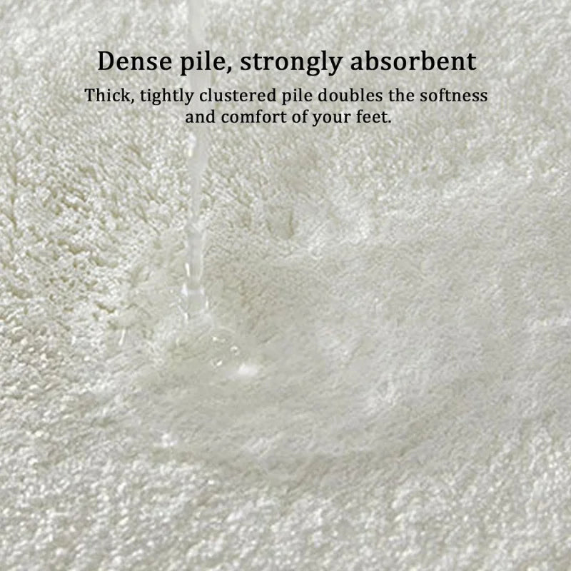Absorbent Entrance Floor Mat